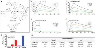 Further investigation of blockade effects and binding affinities of selected natural compounds to immune checkpoint PD-1/PD-L1